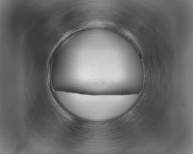X0000071801227200606301001