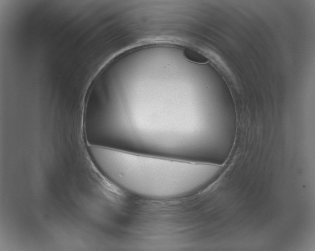 X0000071801228200606301001