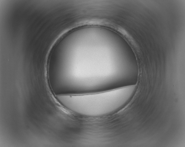 X0000071801232200606301001