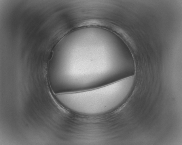 X0000071801233200606301001