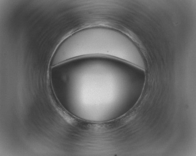 X0000071801234200606301001