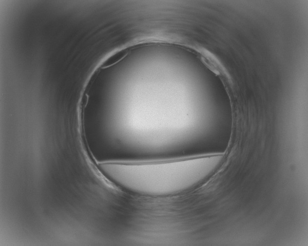 X0000071801238200606301001