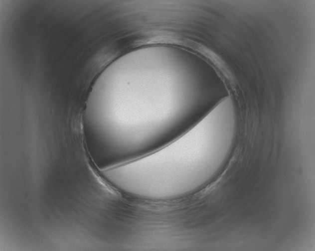 X0000071801241200606301001