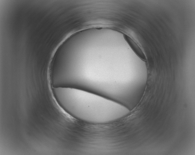 X0000071801243200606301001