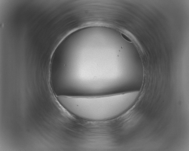 X0000071801244200606301001