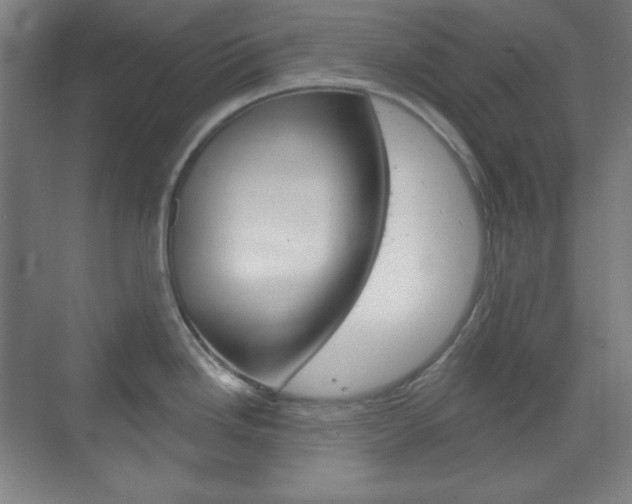 X0000071801246200606301001