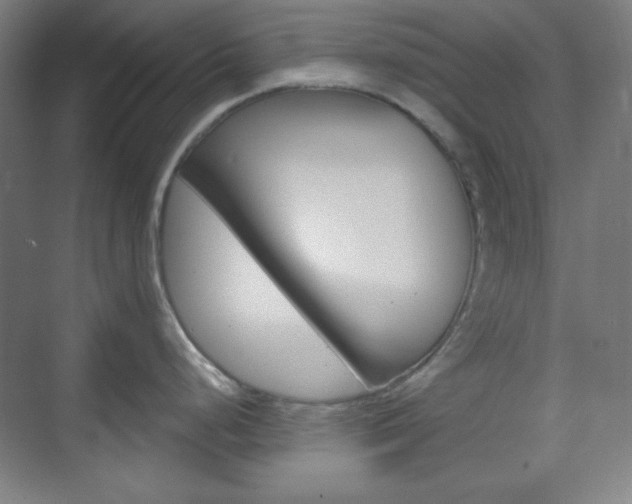X0000071801248200606301001