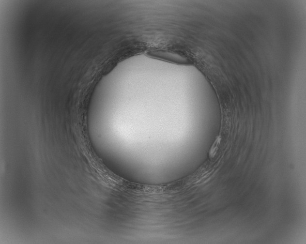 X0000071801249200606301001
