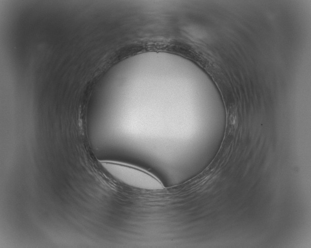 X0000071801252200606301001