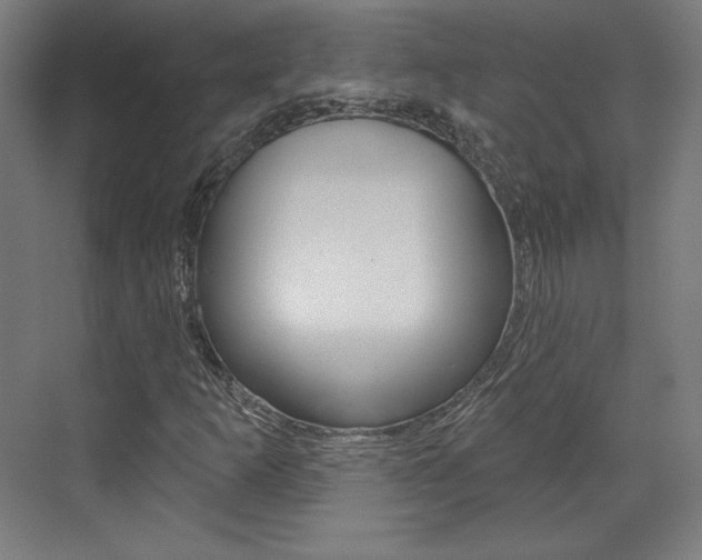 X0000071801253200606301001
