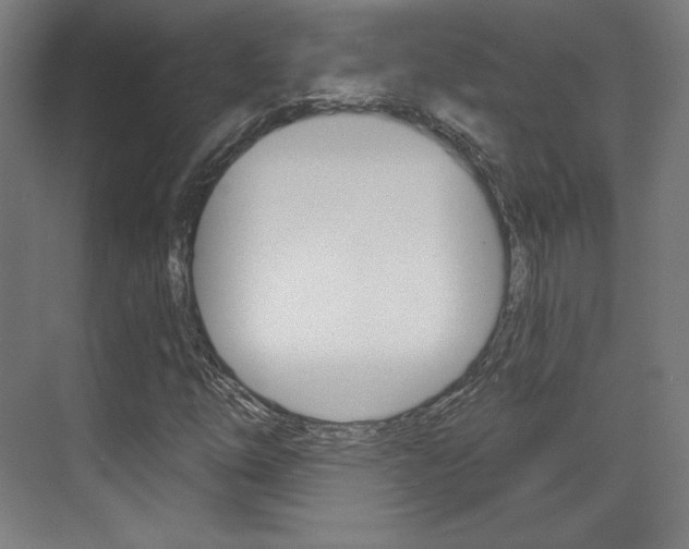 X0000071801254200606301001