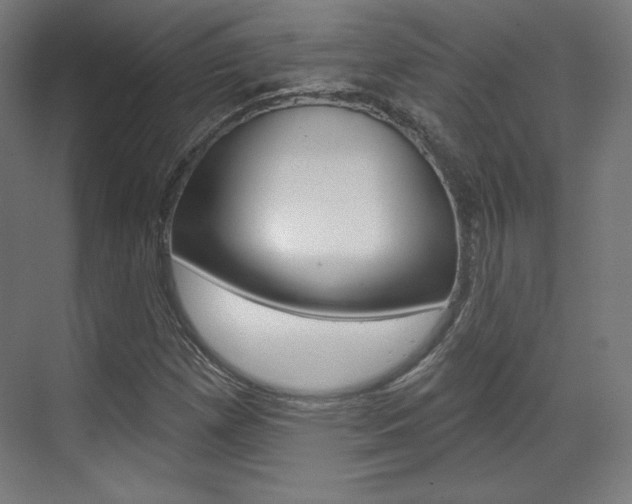 X0000071801257200606301001
