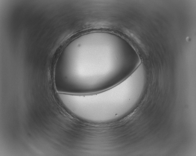 X0000071801261200606301000