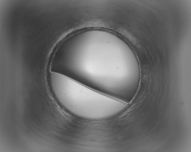 X0000071801264200606301000