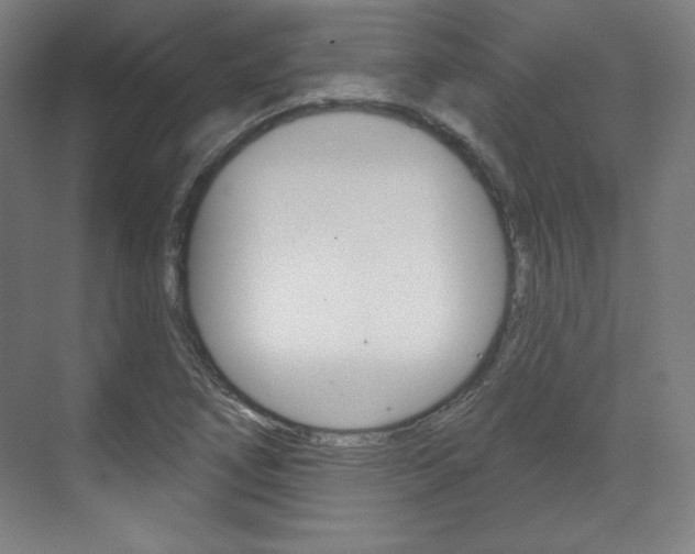 X0000071801266200606301000