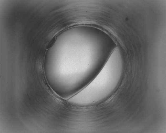 X0000071801273200606301000