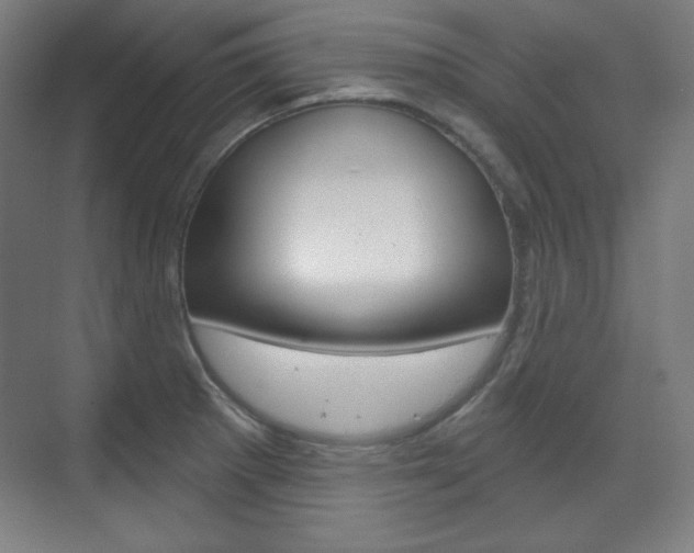 X0000071801281200606301000