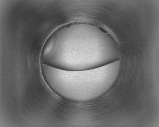 X0000071801291200606301000