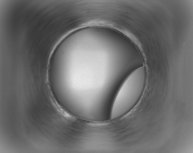 X0000071801296200606301000