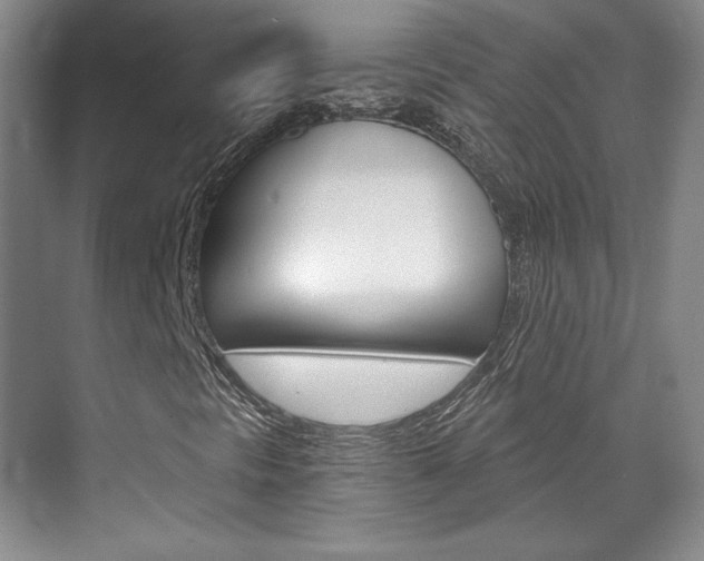 X0000071801297200606300959