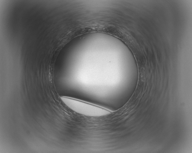 X0000071801298200606300959