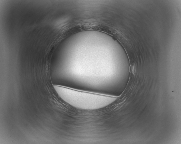 X0000071801299200606300959