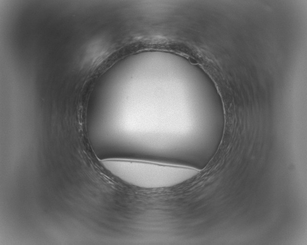 X0000071801301200606300959