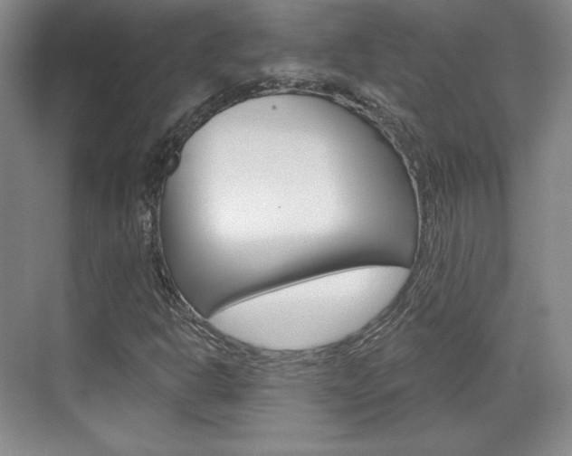 X0000071801302200606300959