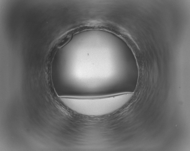 X0000071801304200606300959