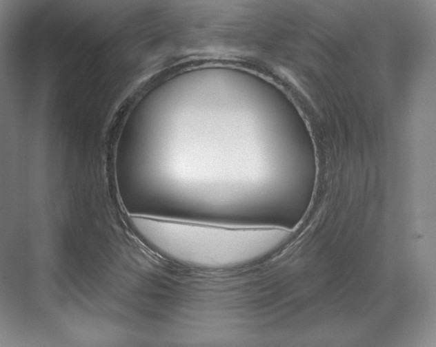 X0000071801307200606300959