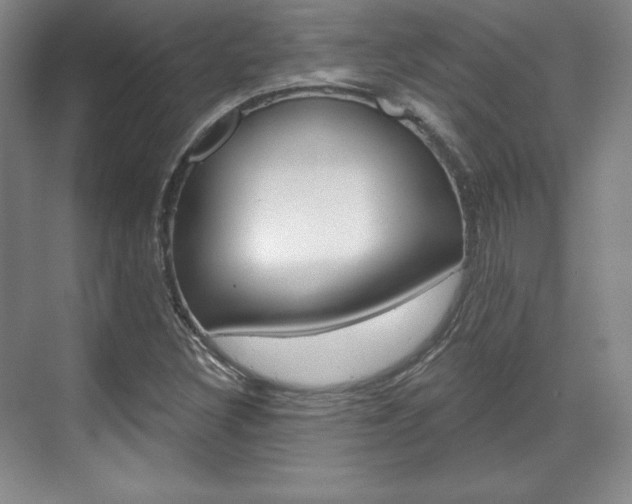 X0000071801308200606300959