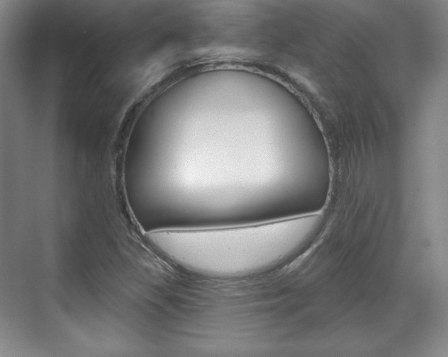 X0000071801309200606300959