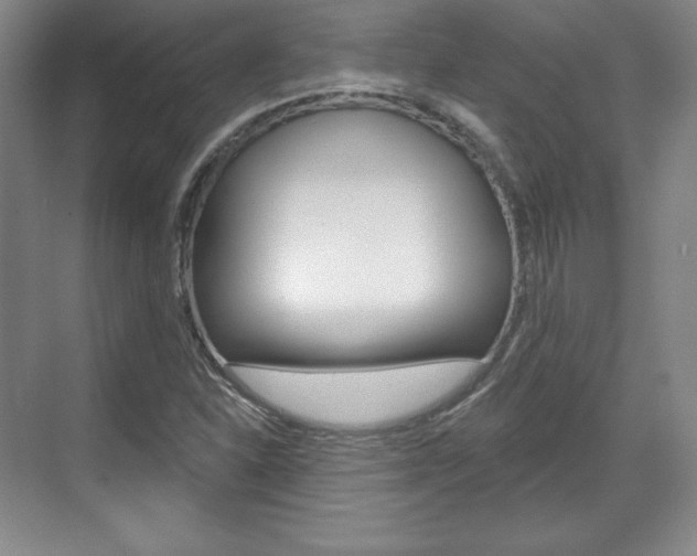 X0000071801310200606300959