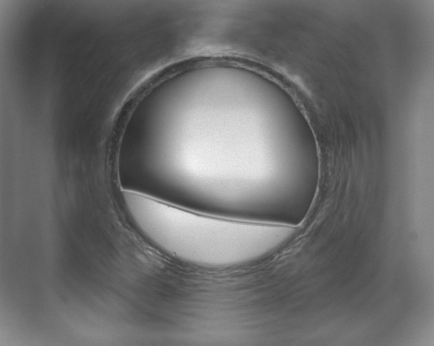 X0000071801311200606300959