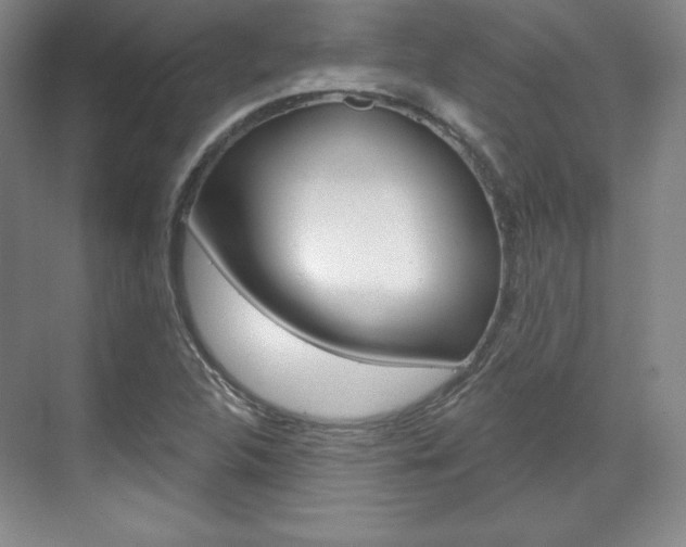 X0000071801312200606300959