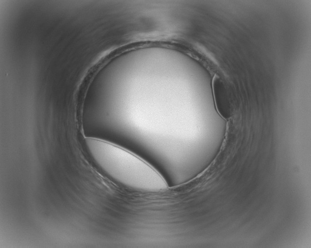 X0000071801315200606300959
