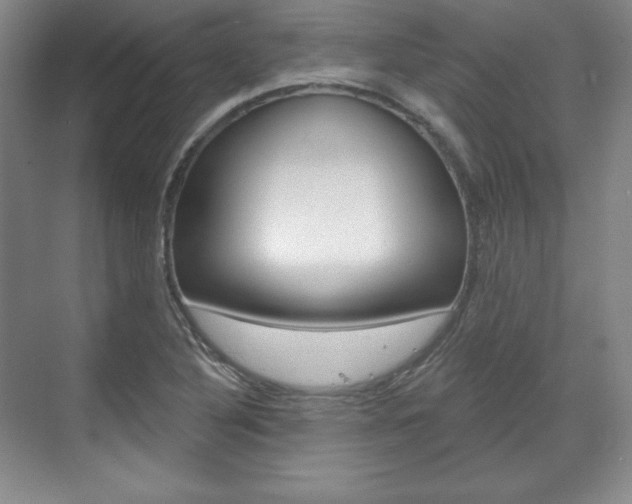 X0000071801316200606300959