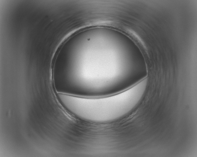 X0000071801324200606300959
