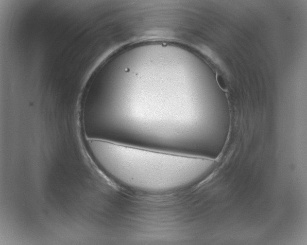 X0000071801325200606301000