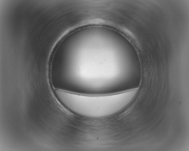 X0000071801326200606301000