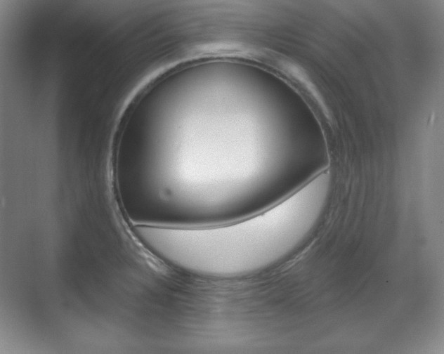X0000071801328200606301000