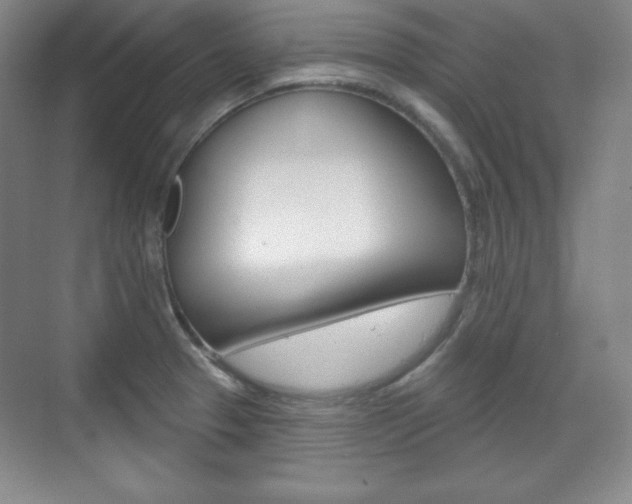 X0000071801329200606301000