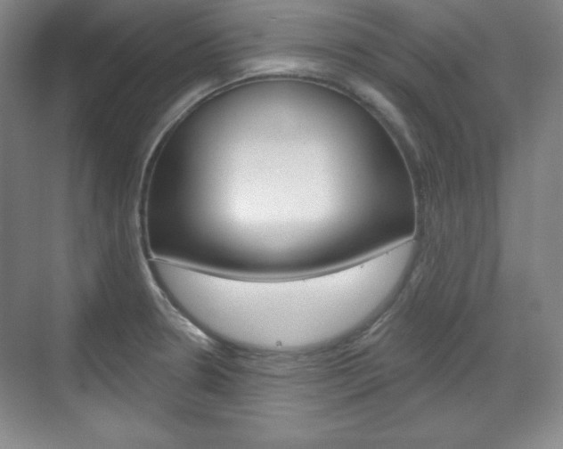 X0000071801330200606301000