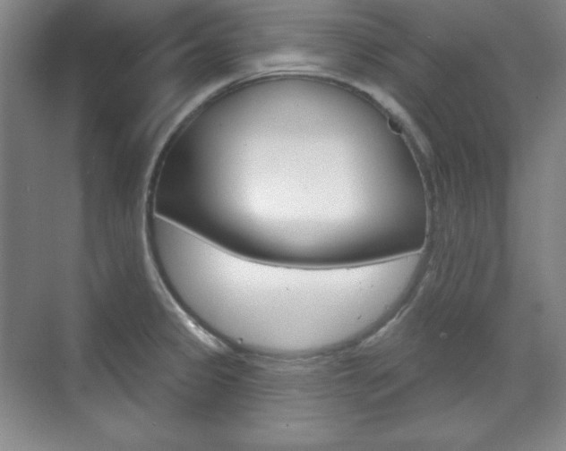 X0000071801333200606301000