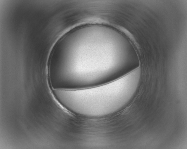 X0000071801335200606301000