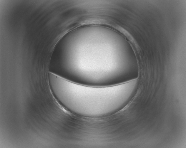 X0000071801337200606301000