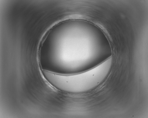 X0000071801342200606301000