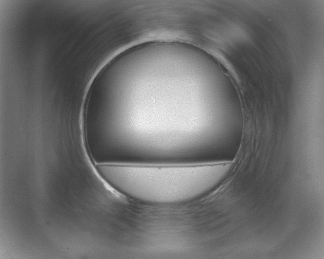X0000071801343200606301000