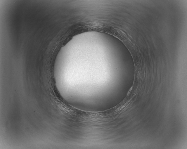 X0000071801345200606300959