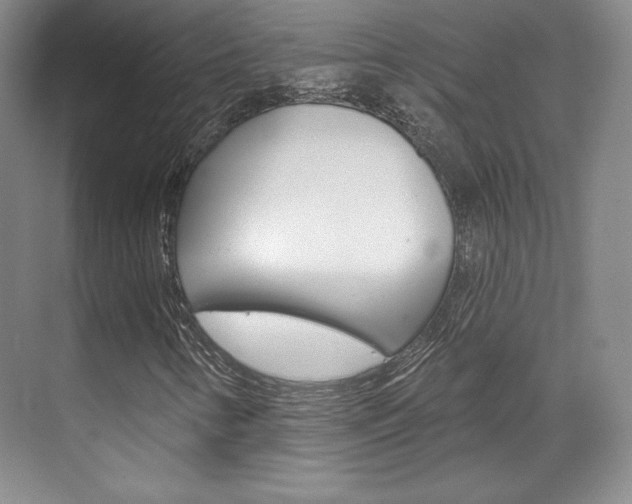 X0000071801346200606300959